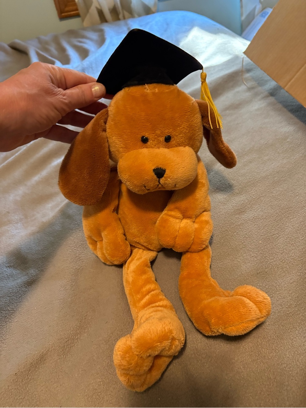 Plush Graduation Dog